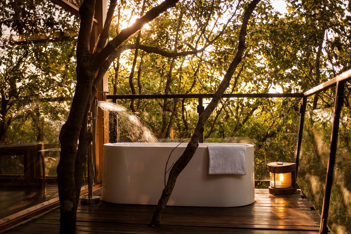 jacuzzi dans les arbres